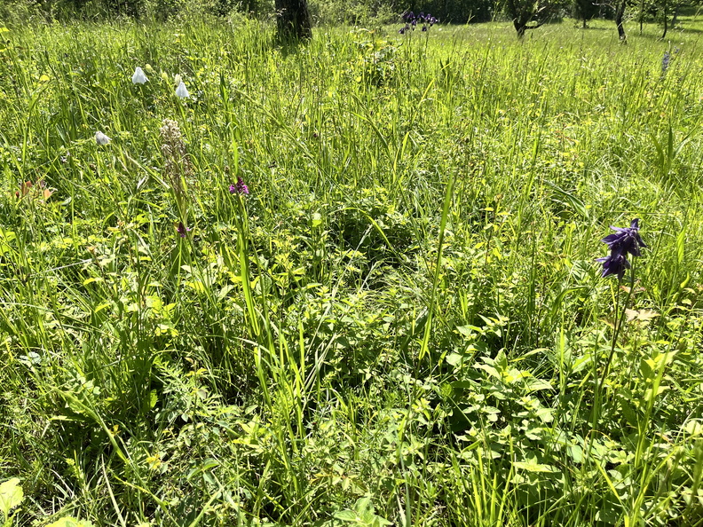 24-05-18 16-12-08 9473